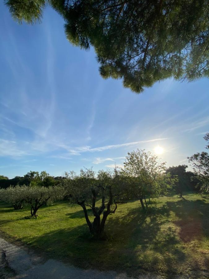 Studio Climatise Dans Un Ancien Domaine Viticole Montpellier Exteriör bild